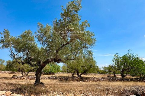 Villa i El Perello, Tarragona, El Perello - € 130.000 | Ref: 1147 - foto 27