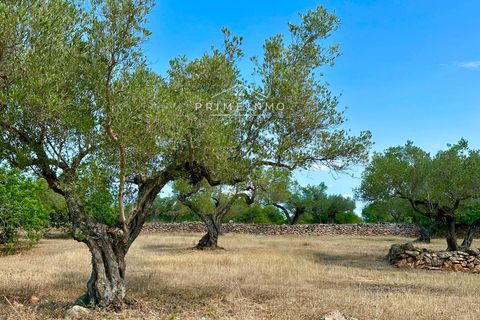 Villa i El Perello, Tarragona, El Perello - € 130.000 | Ref: 1147 - foto 28