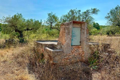 Villa a El Perello, Tarragona, El Perello - € 129.000 | Ref: 1146 - foto 12