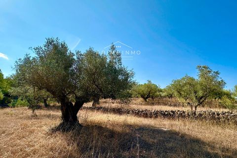 Villa a El Perello, Tarragona, El Perello - € 129.000 | Ref: 1146 - foto 15