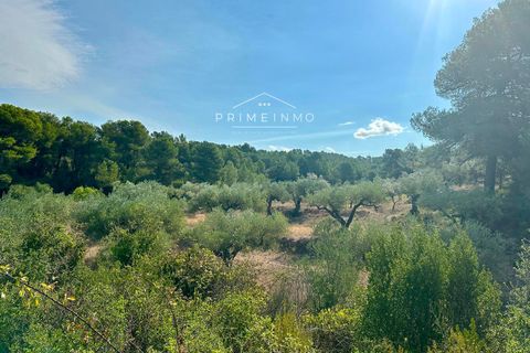 Villa a El Perello, Tarragona, El Perello - € 129.000 | Ref: 1146 - foto 16