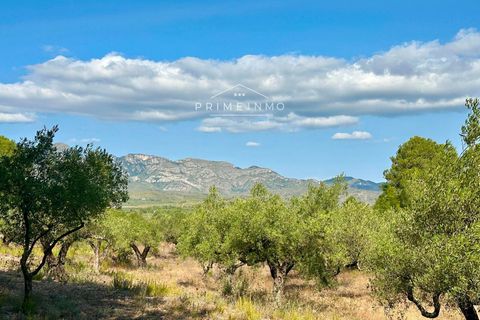 Villa a El Perello, Tarragona, El Perello - € 129.000 | Ref: 1146 - foto 17