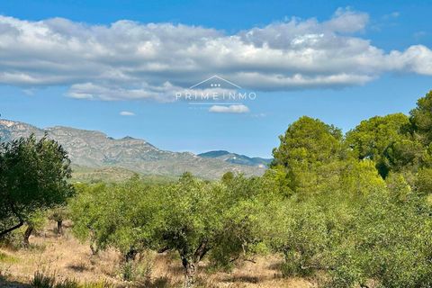 Villa a El Perello, Tarragona, El Perello - € 129.000 | Ref: 1146 - foto 18