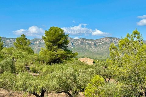 Villa a El Perello, Tarragona, El Perello - € 129.000 | Ref: 1146 - foto 20