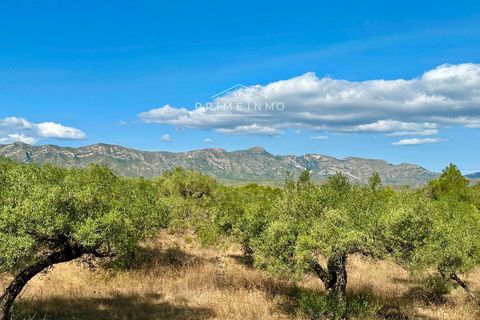 Villa a El Perello, Tarragona, El Perello - € 129.000 | Ref: 1146 - foto 6