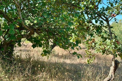 Villa a El Perello, Tarragona, El Perello - € 129.000 | Ref: 1146 - foto 21