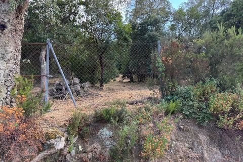 Terra a Calonge, Gerona, Calonge - € 69.000 | Ref: 2031 - foto 6