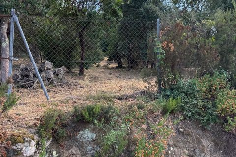 Terra a Calonge, Gerona, Calonge - € 69.000 | Ref: 2031 - foto 5