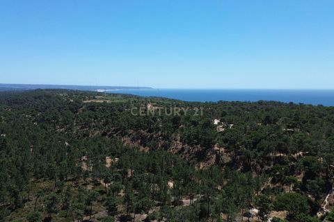 Helårsgrund i Almada, Setubal, Almada - € 940.000 | Ref: C0222-06432 - foto 8