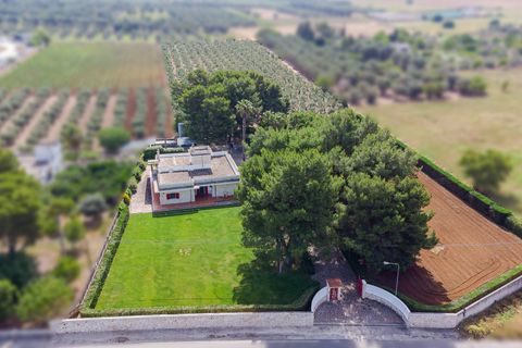 Villa a Oria, Brindisi, Oria - € 450.000 | Ref: 17 - foto 24