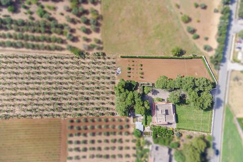 Villa a Oria, Brindisi, Oria - € 450.000 | Ref: 17 - foto 26
