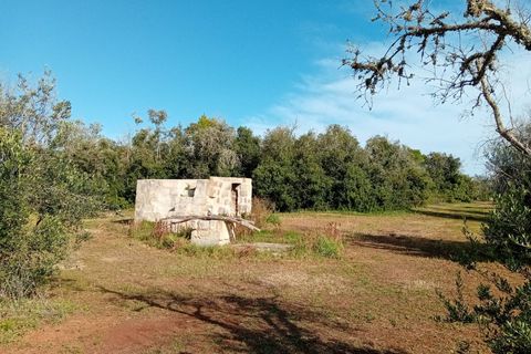 Helårsgrund i Ortelle, Lecce, Ortelle - € 59.000 | Ref: 21 - foto 2