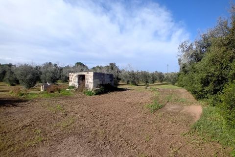 Helårsgrund i Ortelle, Lecce, Ortelle - € 59.000 | Ref: 21 - foto 3