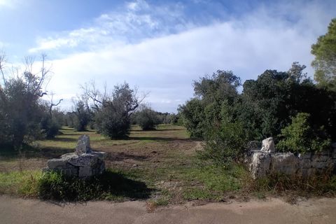 Helårsgrund i Ortelle, Lecce, Ortelle - € 59.000 | Ref: 21 - foto 4