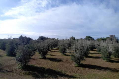 Helårsgrund i Ortelle, Lecce, Ortelle - € 59.000 | Ref: 21 - foto 7