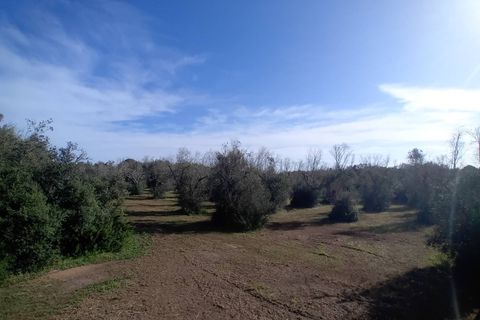 Helårsgrund i Ortelle, Lecce, Ortelle - € 59.000 | Ref: 21 - foto 8