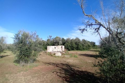 Helårsgrund i Ortelle, Lecce, Ortelle - € 59.000 | Ref: 21 - foto 10