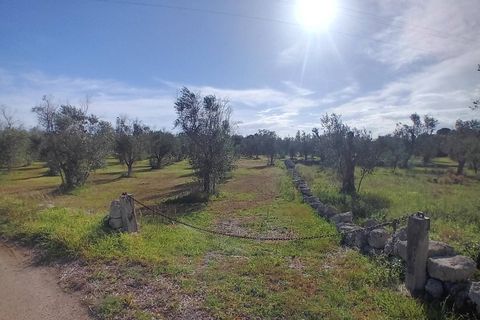Helårsgrund i Ortelle, Lecce, Ortelle - € 59.000 | Ref: 21 - foto 11