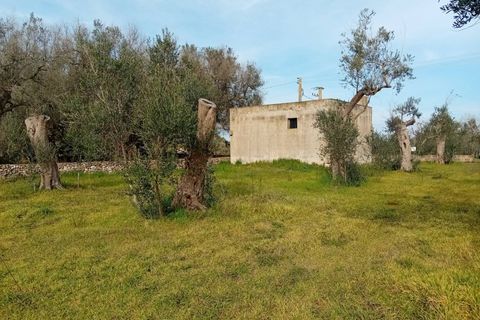 Tomt i Giuggianello, Lecce, Giuggianello - € 25 000 | Ref: 22 - foto 2