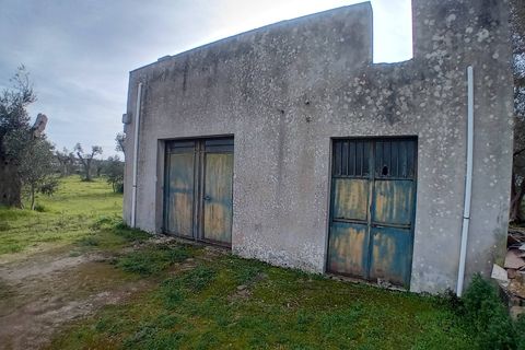 Tomt i Giuggianello, Lecce, Giuggianello - € 25 000 | Ref: 22 - foto 4