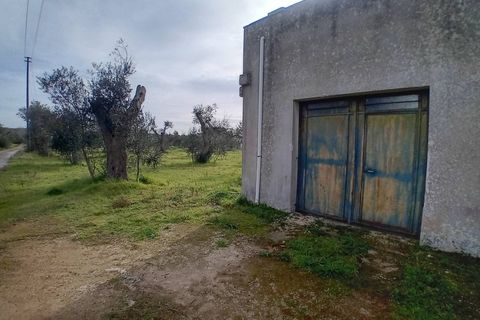 Tomt i Giuggianello, Lecce, Giuggianello - € 25 000 | Ref: 22 - foto 6