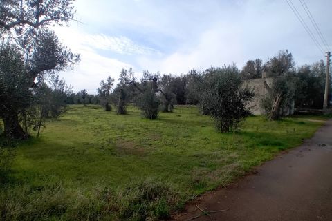 Tomt i Giuggianello, Lecce, Giuggianello - € 25 000 | Ref: 22 - foto 7