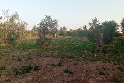 Tomt i Giuggianello, Lecce, Giuggianello - € 25 000 | Ref: 22 - foto 9
