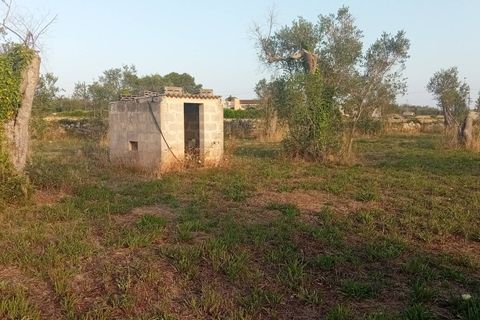 Tomt i Giuggianello, Lecce, Giuggianello - € 25 000 | Ref: 22 - foto 11