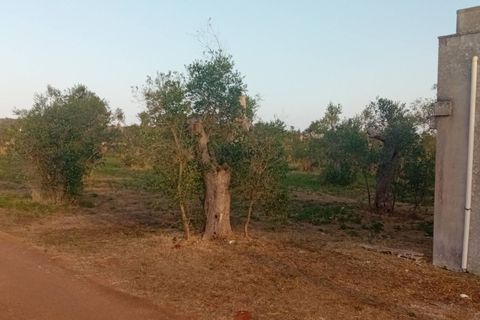 Tomt i Giuggianello, Lecce, Giuggianello - € 25 000 | Ref: 22 - foto 16