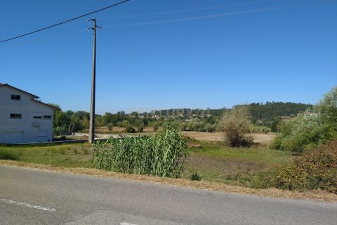 Helårsgrund i Pombal, Leiria, Pombal - € 45.000 | Ref: C0381-00349 - foto 2