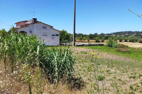 Helårsgrund i Pombal, Leiria, Pombal - € 45.000 | Ref: C0381-00349 - foto 4