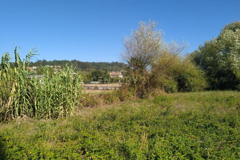Helårsgrund i Pombal, Leiria, Pombal - € 45.000 | Ref: C0381-00349 - foto 6