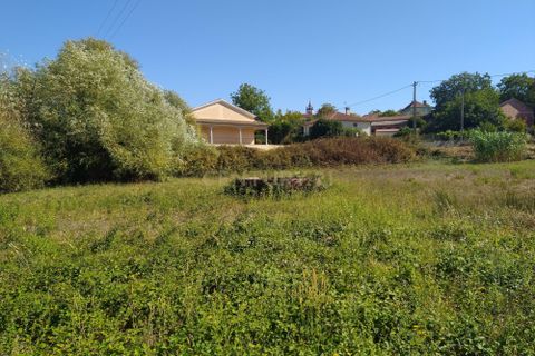 Helårsgrund i Pombal, Leiria, Pombal - € 45.000 | Ref: C0381-00349 - foto 8