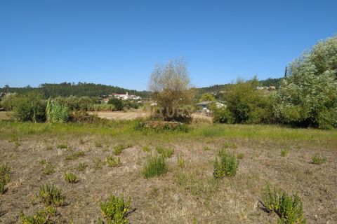 Helårsgrund i Pombal, Leiria, Pombal - € 45.000 | Ref: C0381-00349 - foto 12