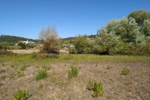 Helårsgrund i Pombal, Leiria, Pombal - € 45.000 | Ref: C0381-00349 - foto 14