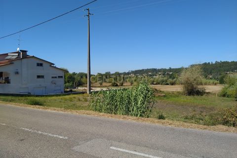 Helårsgrund i Pombal, Leiria, Pombal - € 45.000 | Ref: C0381-00349 - foto 15