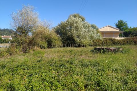 Helårsgrund i Pombal, Leiria, Pombal - € 45.000 | Ref: C0381-00349 - foto 16