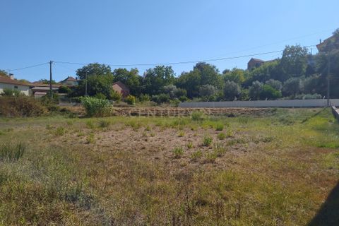 Helårsgrund i Pombal, Leiria, Pombal - € 45.000 | Ref: C0381-00349 - foto 17