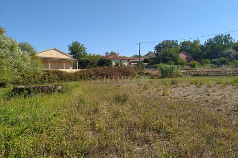 Helårsgrund i Pombal, Leiria, Pombal - € 45.000 | Ref: C0381-00349 - foto 18