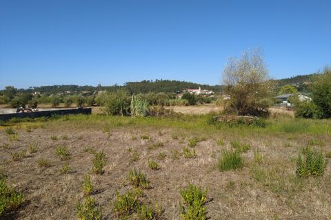 Helårsgrund i Pombal, Leiria, Pombal - € 45.000 | Ref: C0381-00349 - foto 19