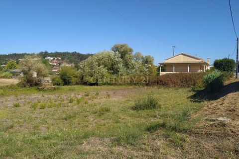 Helårsgrund i Pombal, Leiria, Pombal - € 45.000 | Ref: C0381-00349 - foto 20