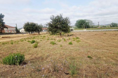 Helårsgrund i Pombal, Leiria, Pombal - € 40.000 | Ref: C0381-00793 - foto 2
