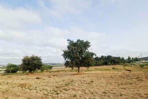 Helårsgrund i Pombal, Leiria, Pombal - € 40.000 | Ref: C0381-00793 - foto 5