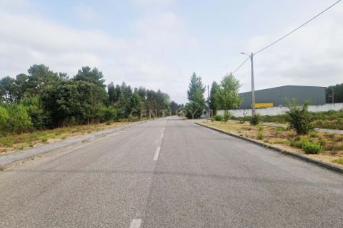 Helårsgrund i Pombal, Leiria, Pombal - € 40.000 | Ref: C0381-00793 - foto 6