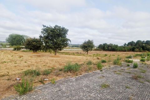 Helårsgrund i Pombal, Leiria, Pombal - € 40.000 | Ref: C0381-00793 - foto 9