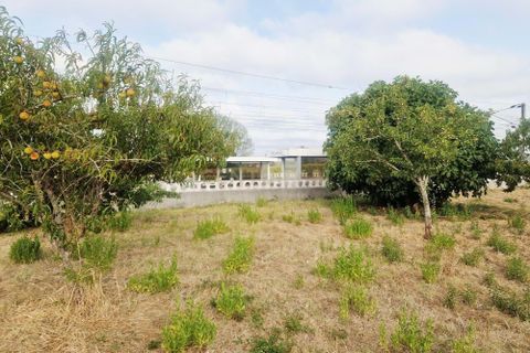 Helårsgrund i Pombal, Leiria, Pombal - € 40.000 | Ref: C0381-00793 - foto 10