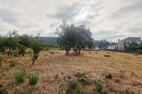 Helårsgrund i Pombal, Leiria, Pombal - € 40.000 | Ref: C0381-00793 - foto 12
