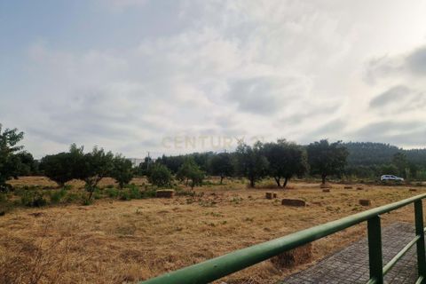 Helårsgrund i Pombal, Leiria, Pombal - € 40.000 | Ref: C0381-00793 - foto 13