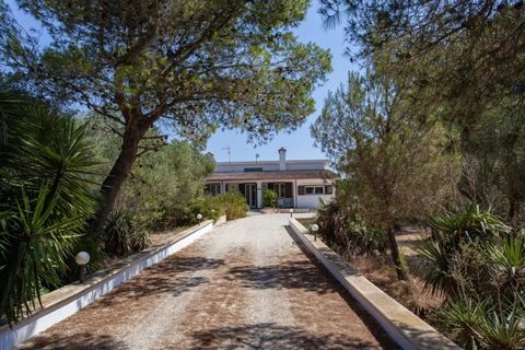 Villa a Oria, Brindisi, Oria - € 530.000 | Ref: V750 - foto 40