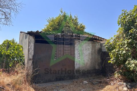 Villa a Assentiz, Santarem, Assentiz - € 65.000 | Ref: Star_83/22 - foto 4